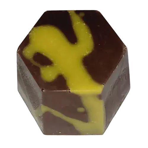 chocolat praliné noisette