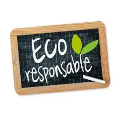 chocolat ecoresponsable